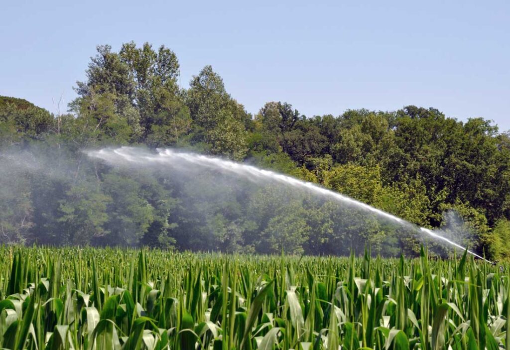 رفع سختی آب در کشاورزی